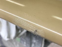 �I�[�o�[�z�[�� TANNER 30_6